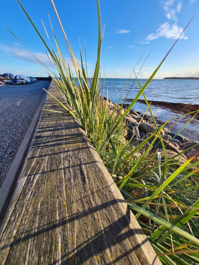 Danhostel Stevns Klint Store Heddinge エクステリア 写真